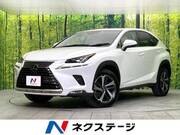 2020 LEXUS NX