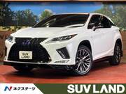2019 LEXUS RX
