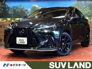 2024 LEXUS NX