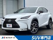 2017 LEXUS NX