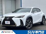 2019 LEXUS UX