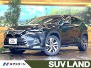 2018 LEXUS NX