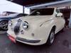 MITSUOKA VIEWT
