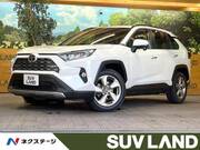 2019 TOYOTA RAV4 G