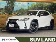 2021 LEXUS UX
