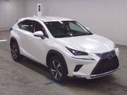 2019 LEXUS NX