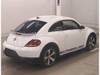 VOLKSWAGEN THE BEETLE
