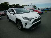 2019 TOYOTA RAV4 HYBRID G