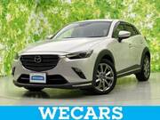 2019 MAZDA CX-3