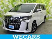 2018 TOYOTA ALPHARD G