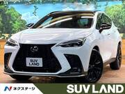 2023 LEXUS NX