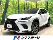2019 LEXUS NX