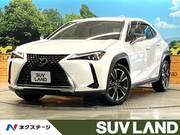 2019 LEXUS UX