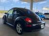 VOLKSWAGEN NEW BEETLE