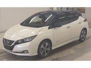 2019 NISSAN LEAF