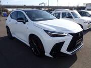 2024 LEXUS NX