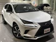 2020 LEXUS NX