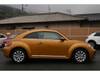 VOLKSWAGEN THE BEETLE