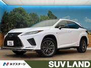 2019 LEXUS RX