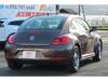 VOLKSWAGEN THE BEETLE