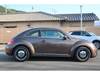 VOLKSWAGEN THE BEETLE