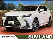 2023 LEXUS NX
