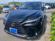 2023 LEXUS NX