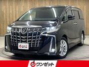 2019 TOYOTA ALPHARD HYBRID