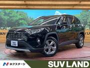 2019 TOYOTA RAV4 G