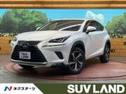 2018 LEXUS NX