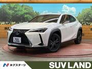 2020 LEXUS UX