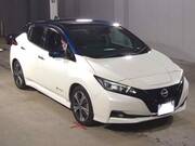 2021 NISSAN LEAF