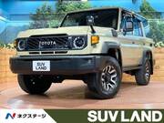2025 TOYOTA LAND CRUISER