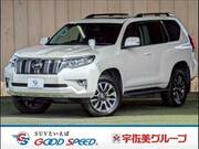 2021 TOYOTA LAND CRUISER PRADO