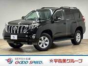 2016 TOYOTA LAND CRUISER PRADO TX