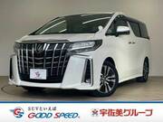 2019 TOYOTA ALPHARD