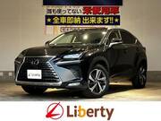 2018 LEXUS NX
