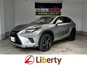 2019 LEXUS NX