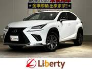 2018 LEXUS NX