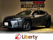 2019 LEXUS UX