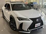 2021 LEXUS UX