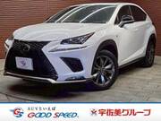 2020 LEXUS NX