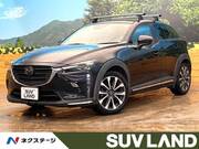 2019 MAZDA CX-3