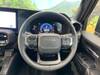 TOYOTA LANDCRUISER 250
