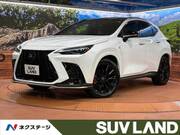 2023 LEXUS NX