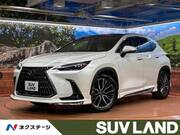 2024 LEXUS NX