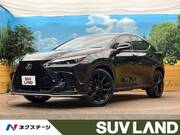 2024 LEXUS NX
