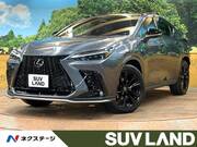 2023 LEXUS NX