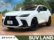 2021 LEXUS NX