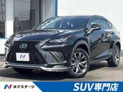 2020 LEXUS NX